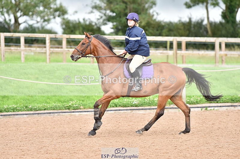 230808A-173356-00375 - 80cm