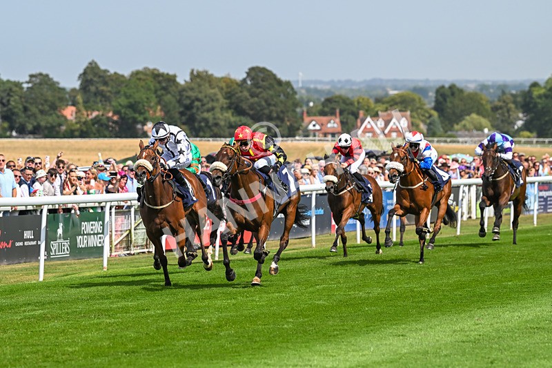 130825-Race 1-Arduis Invicta-6716 - Race 1