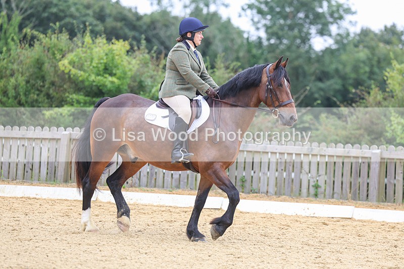 3E7A5193 - Class 2: Intro 4 2024 section B