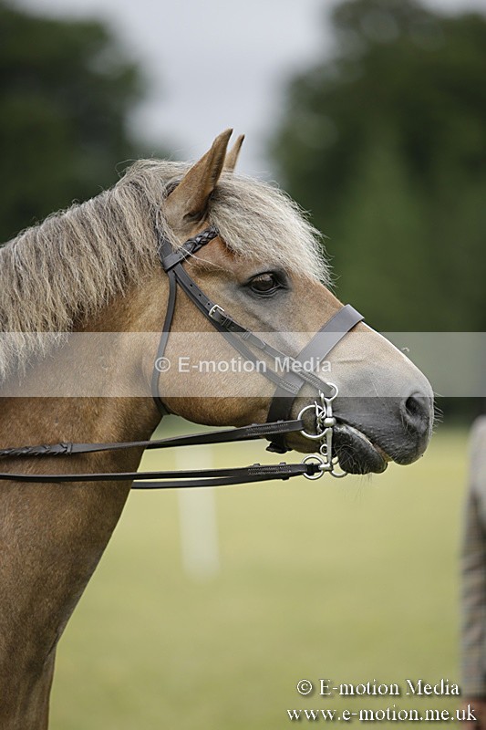 BVR160717-1327 - Ring 1 BVRC Show 16/07/17