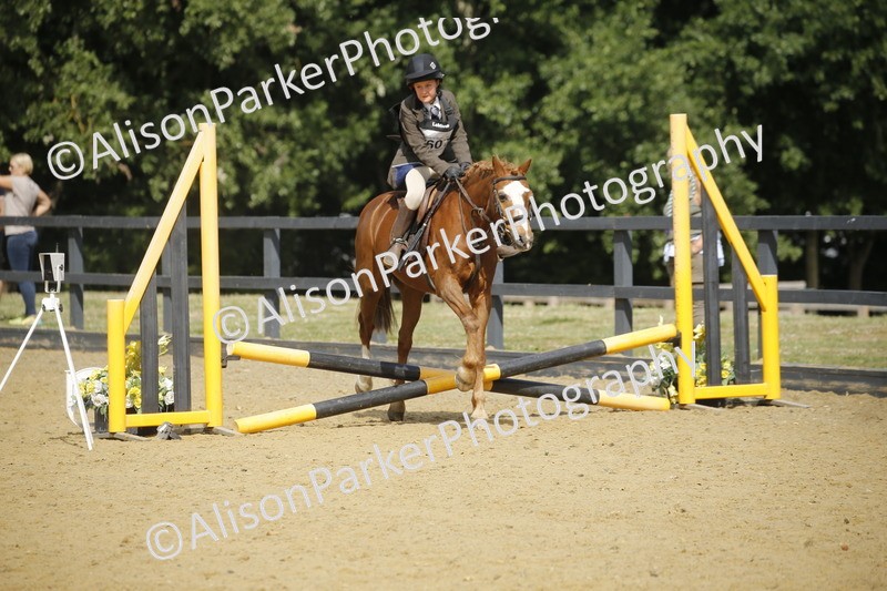 20250622-3656 - 50cm