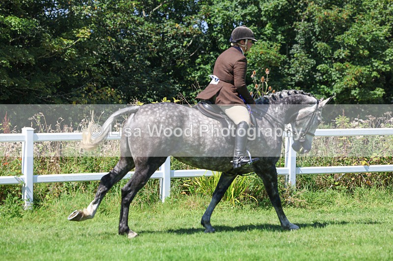 3E7A9361 - Working Hunter Championship