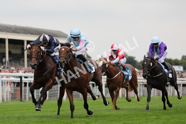 yr18082022r6-33 - Race 6 4.45 pm OR8wellness ebfstallions Nursery Handicap