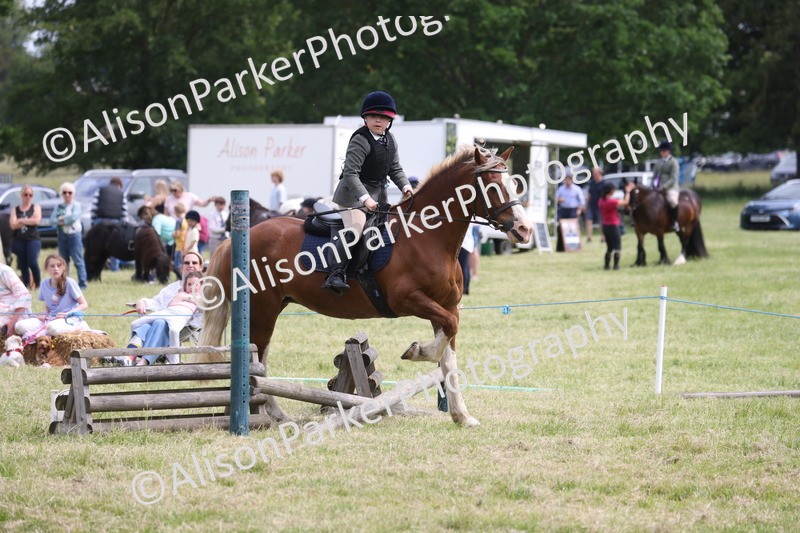 20260614-4068 - Class 24 - Mini and Major Pairs Jumping