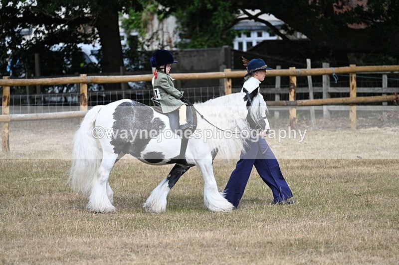 WJ7_6287 - Class 1 Lead Rein Pony