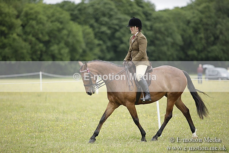 BVR160717-815 - Ring 1 BVRC Show 16/07/17