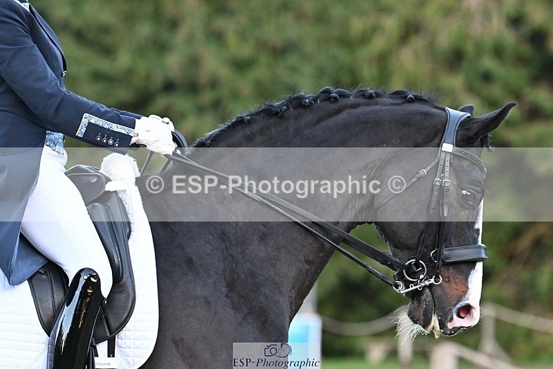 231110-160214-02425 - Cls 11 FEI PSG