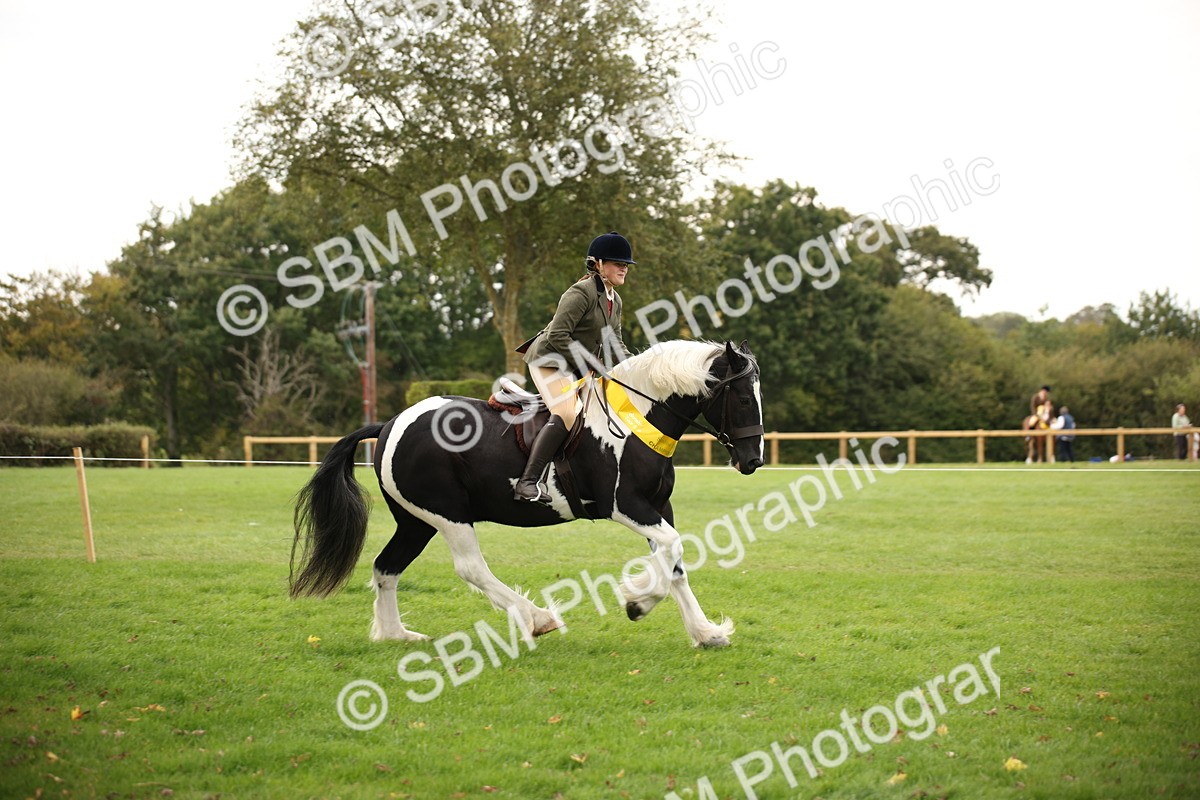 SBM_73593 - S68 - Traditional Cob Ridden