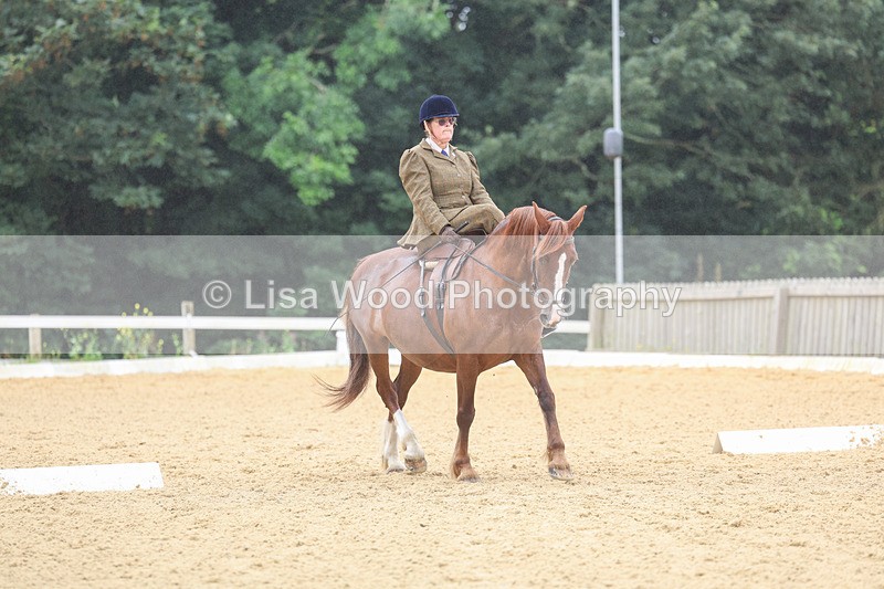 3E7A5464 - Class 2: Intro 4 2024 section B