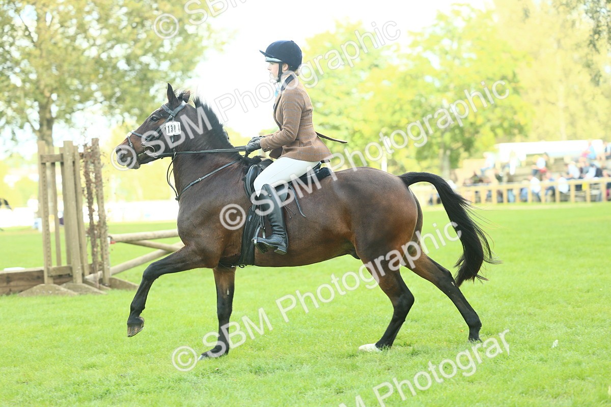 SBM_43020 - S30 - M&M Working hunter Pony