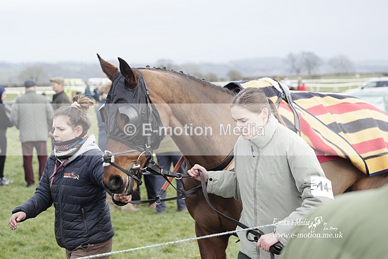 PtP 050323 919 - Blackmore & Sparkford Vale Hunt PtP - Somerset 05/03/23