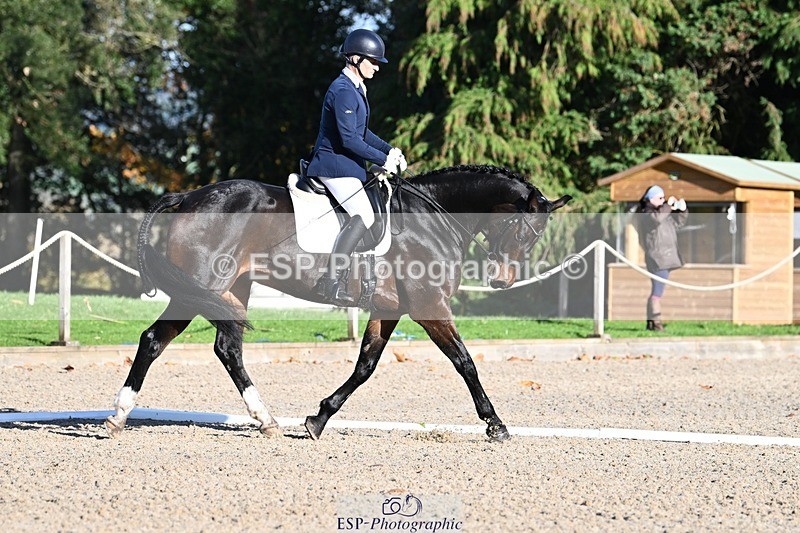 231110-133848-01007 - Cls 4 Novice 39Q