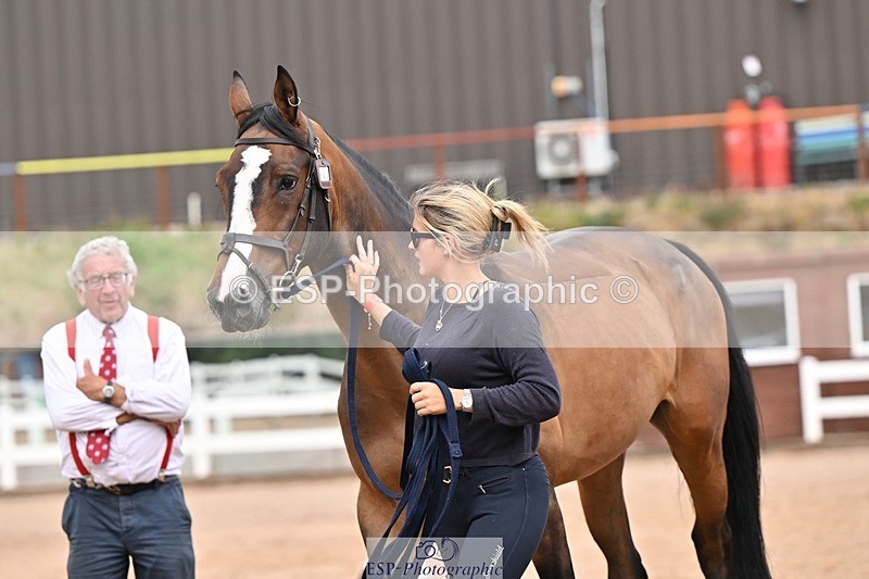 250716-161924-02562 - Trot Up 3.30 to 4.30