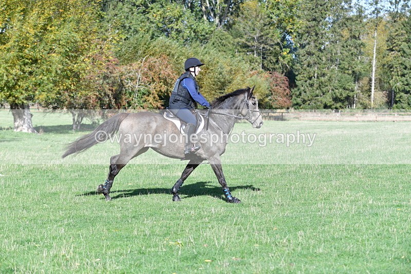 WJ5_7656 - Time 10:31 to 12:01