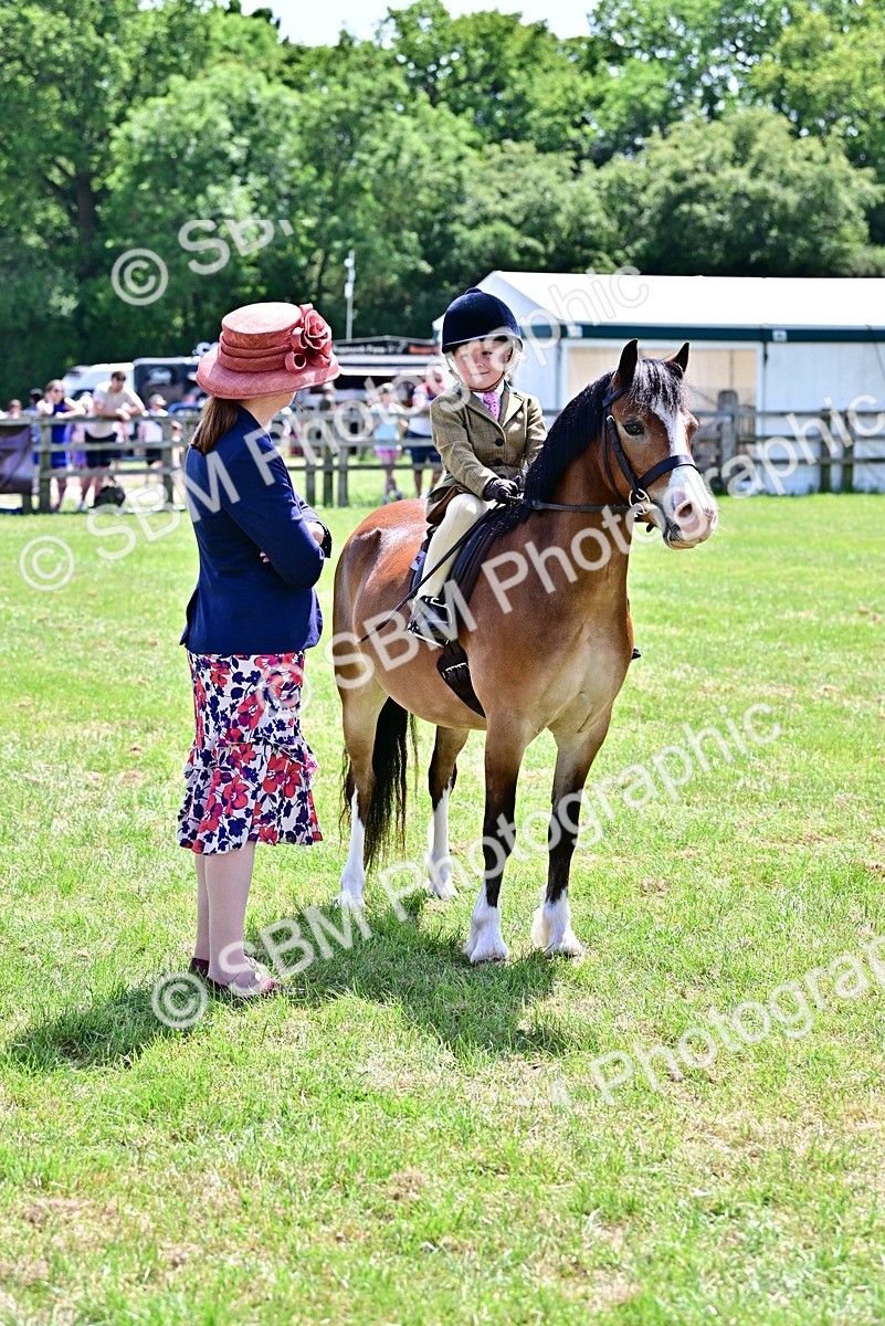 SBM_06105 - Class 59-60 - TSR M&M  Lear Rein and First Ridden Amateur of the year