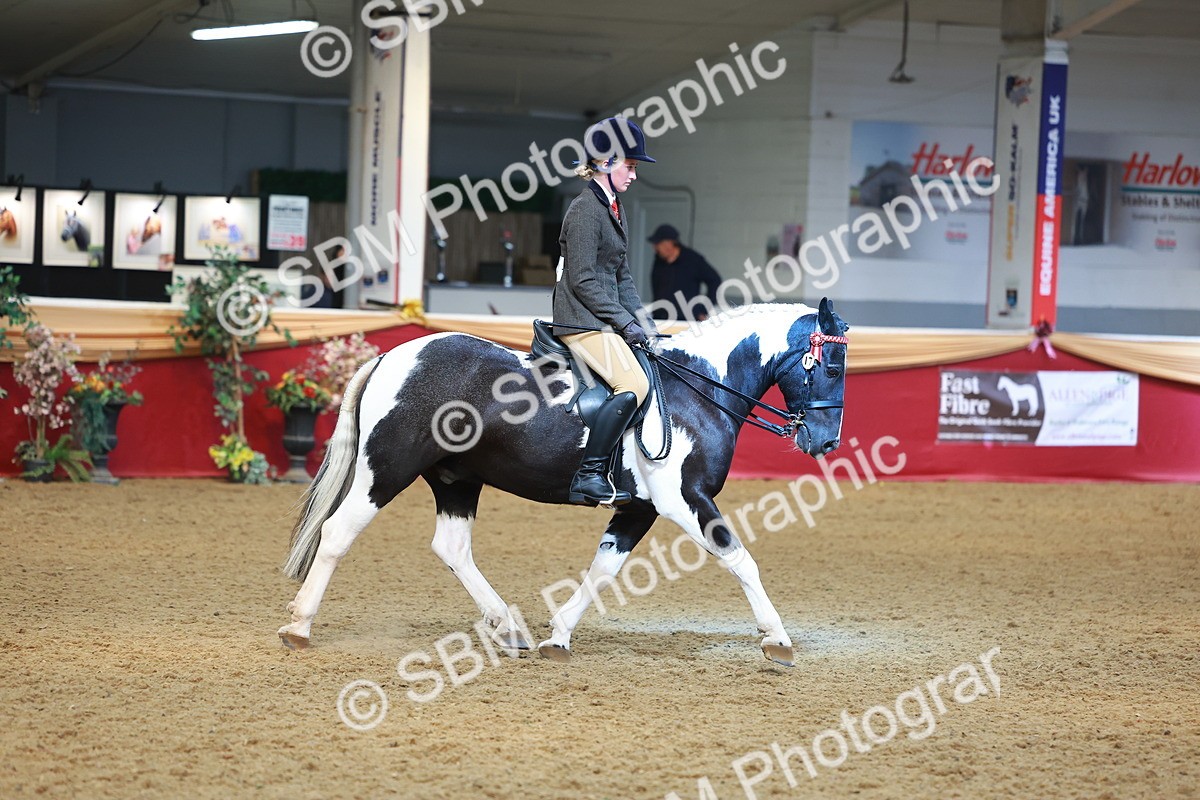 SBM_10684 - Class 103 - HOYS Veteran Qualifier - Ridden Pre Vet