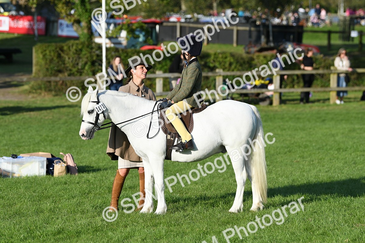 SBM_54099 - S23 - 1st Ridden Mountain & Moorland Pony