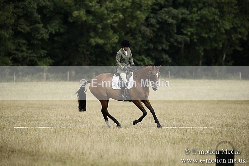 _EP59101 - Dressage Classes BVRC Show 2018