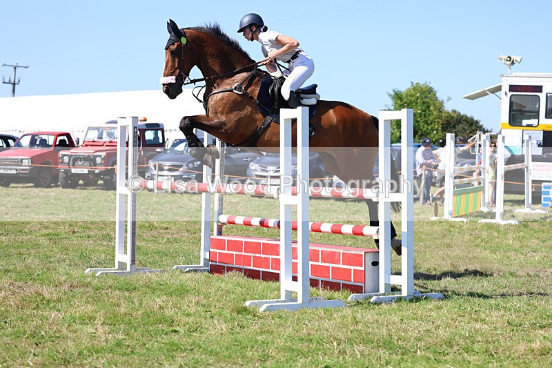 3E7A6488 - Class 13: Senior Newcomers/1.10m open