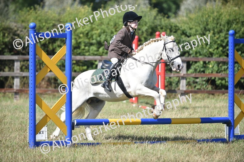 20260906-1704 - Class 9 - Absolute Novice Jumping 45cm