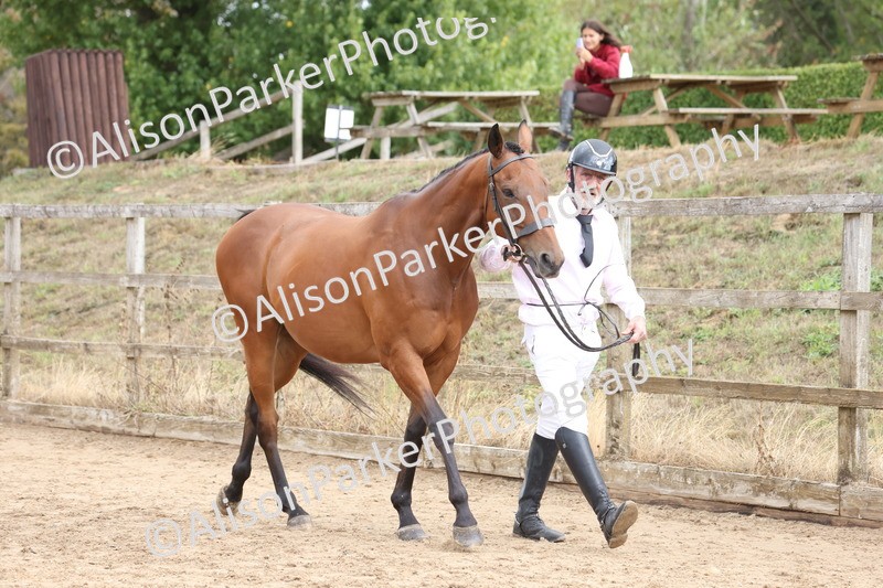 20260831-1902 - Class 5 - Retraining of Racehorses