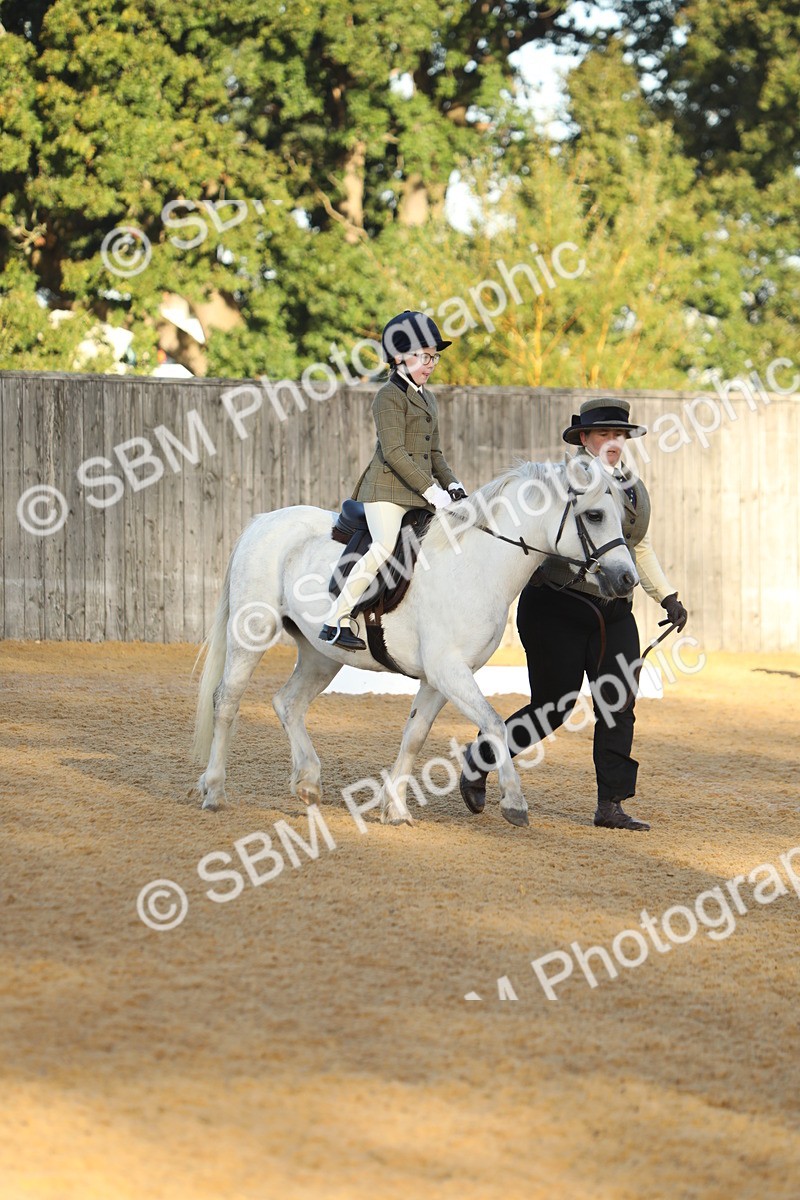 SBM_33593 - D26 - Starers - Lead Rein