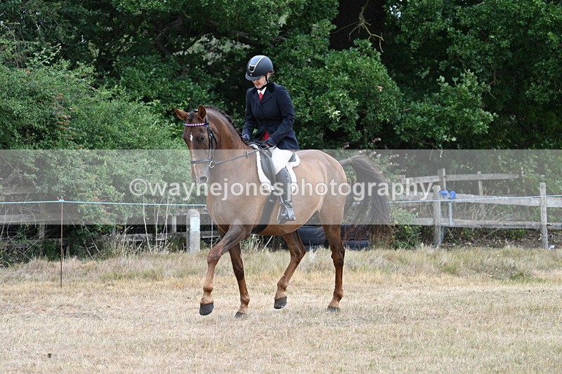 WJ7_0826 - Class 7 Riding Club Show Horse