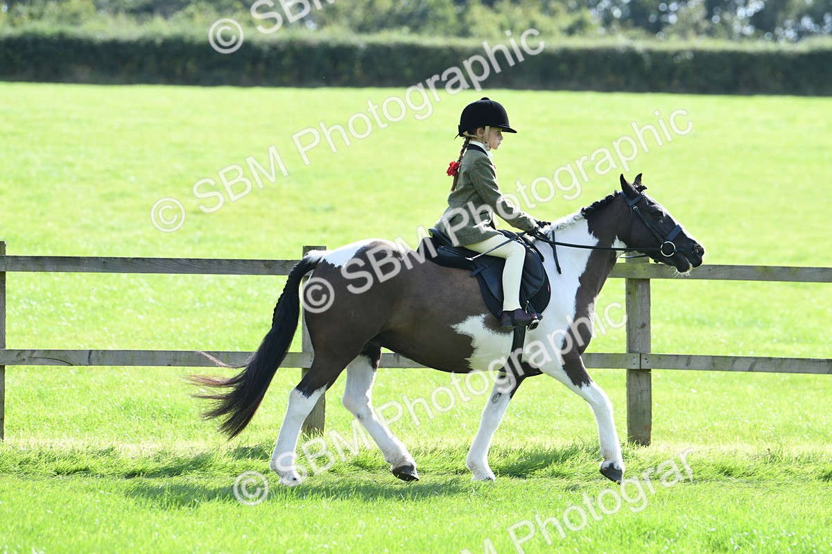 SBM_50275 - S21 - Novice & Newcomers 1st Ridden Pony