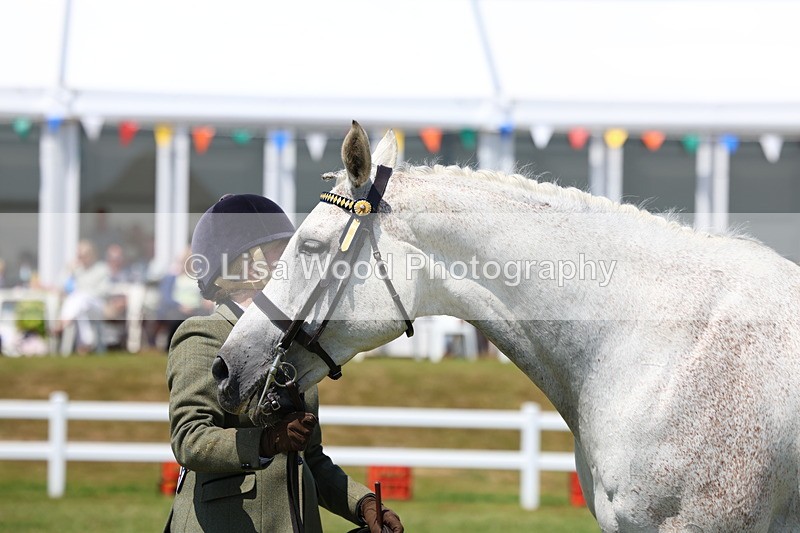 3E7A1197 - Class 8: Open Riding Horse/Hack