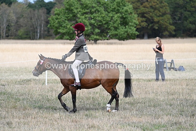 WJ7_5825 - Class 13 Ridden Veterans