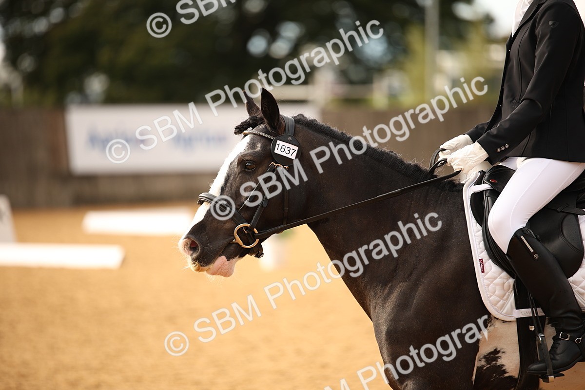 SBM_12411 - D3 Small  Tour Championship Intro A