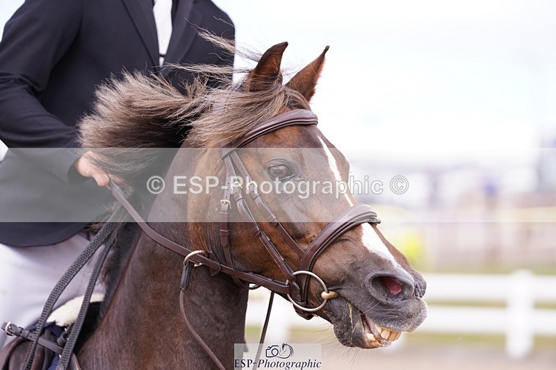 250629-150746-12798 - Cls 38 Pony Foxhunter and 1.10m Open