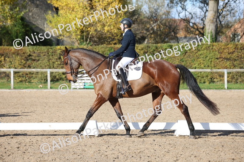 20251102-1014 - Class 5 - Elementary 5