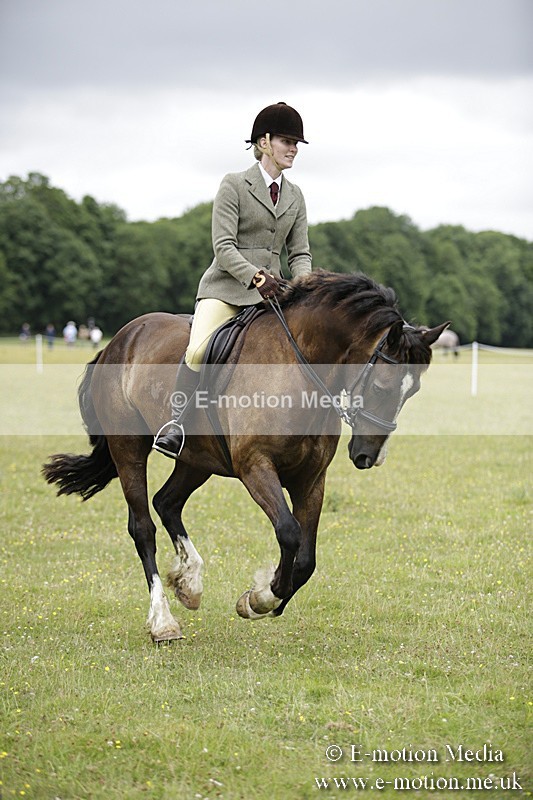 BVR160717-1321 - Ring 1 BVRC Show 16/07/17