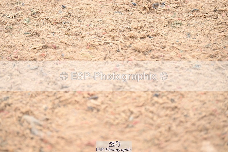 240720A-084432-13106 - Cls 15, 1 Star Silver Tour 1.25m