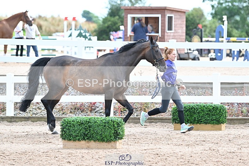 240717A-144032-02185 - Trot Up 2pm to 3pm - This folder is not in time order