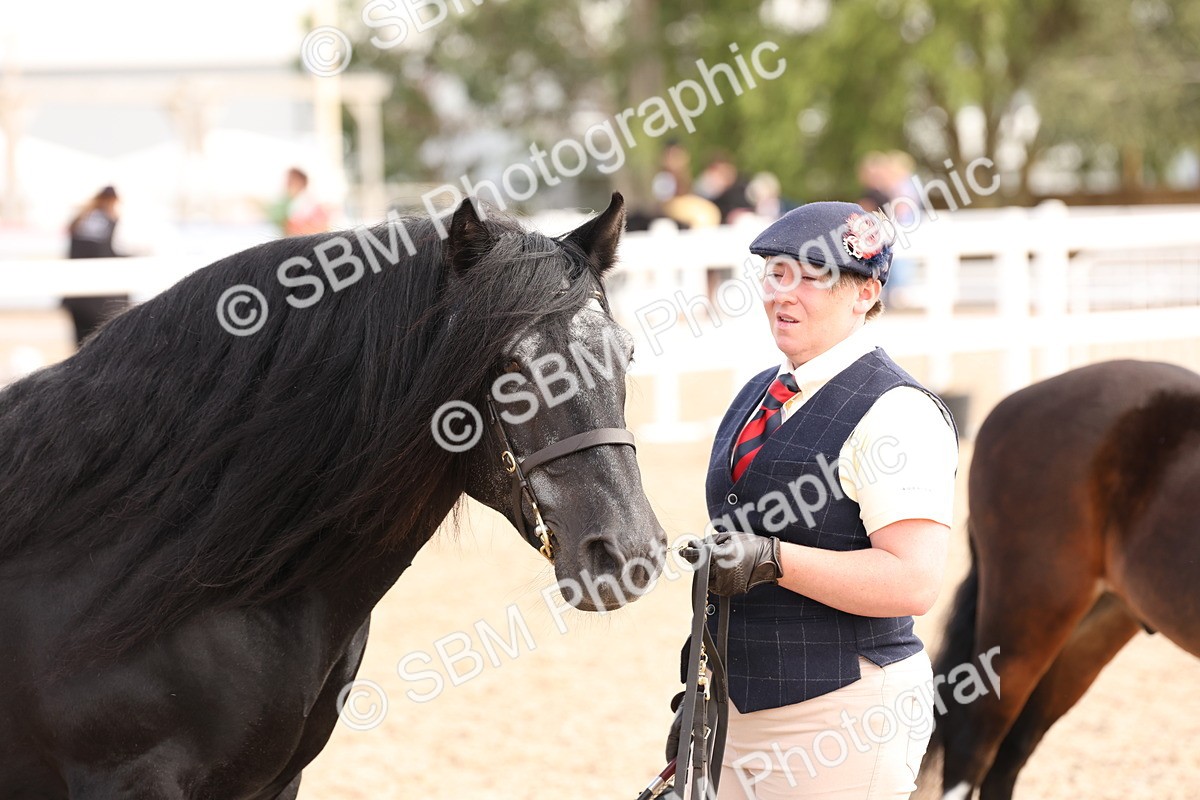 SBM_15121 - Class 209 - IH Veteran Pony