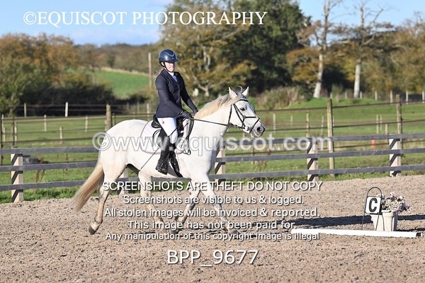 BPP_9677 - SHORT ARENA