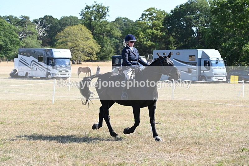 WJ6_7456 - Class 34 Judges Choice