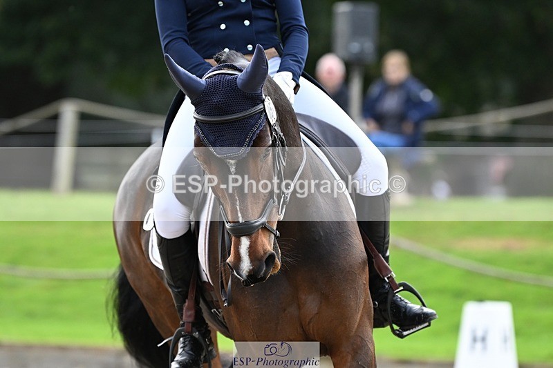 231019-145049-04289 - 057-OVERTON.TILANA'S.GOLD-Claire.Deuten-DR