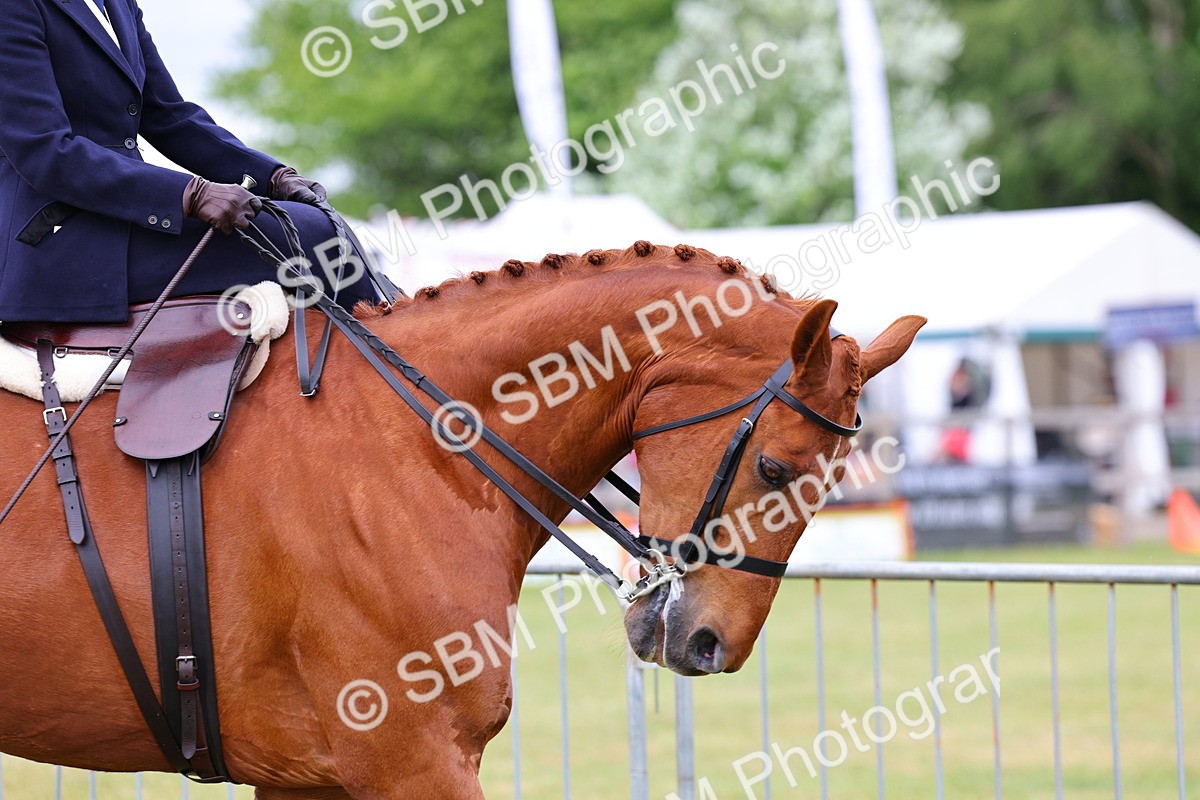 SBM_02922 - Class 9-11 Side Saddle including LIHS Rising Star Ladies Show Horse