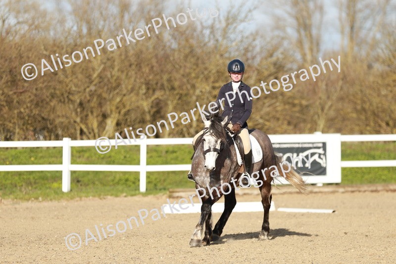 20260314-5423 - DR4 - Prelim 2