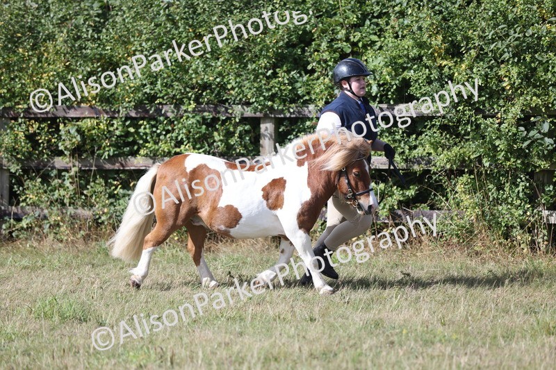 20250831-1612 - Class 22 - Mountain and Moorland Inhand