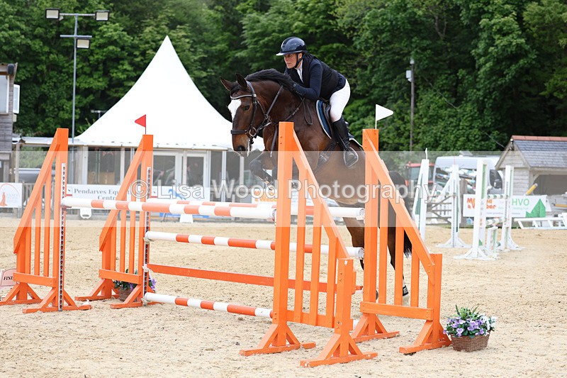3E7A9582 - Class 9: Senior Foxhunter/1.20 open