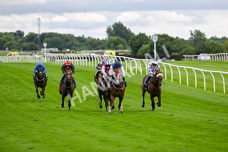 100724-Race 3-Wondrous Ways-4822 - Race 3