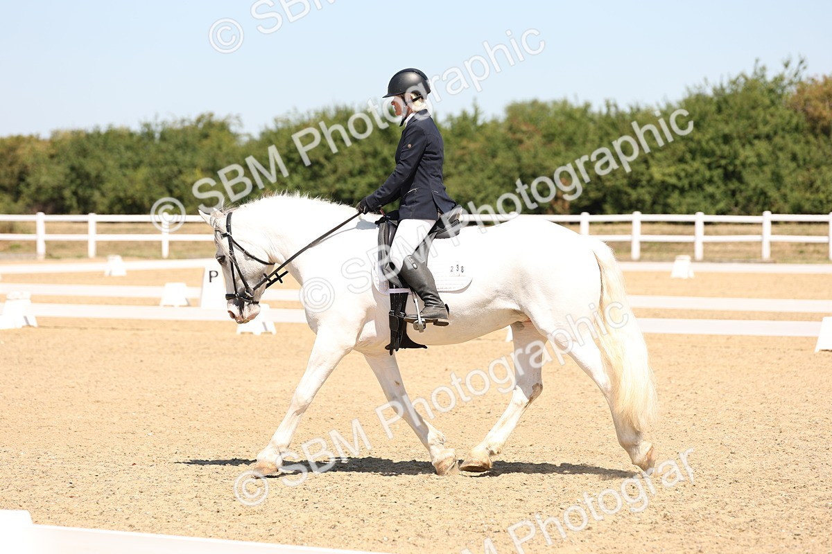 SBM_001323 - Intro 2