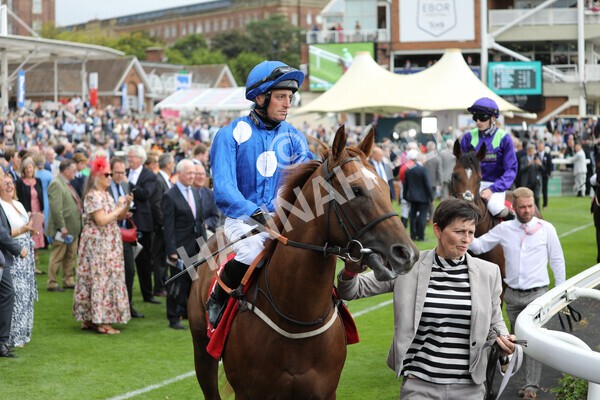 yr18082022r2-15 - Race 2 2.25pm Goffs UK Harry Beeby Premier Yearling Stakes