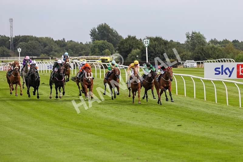 240724-Race 4-Swinging Eddie-3498 - Race 4