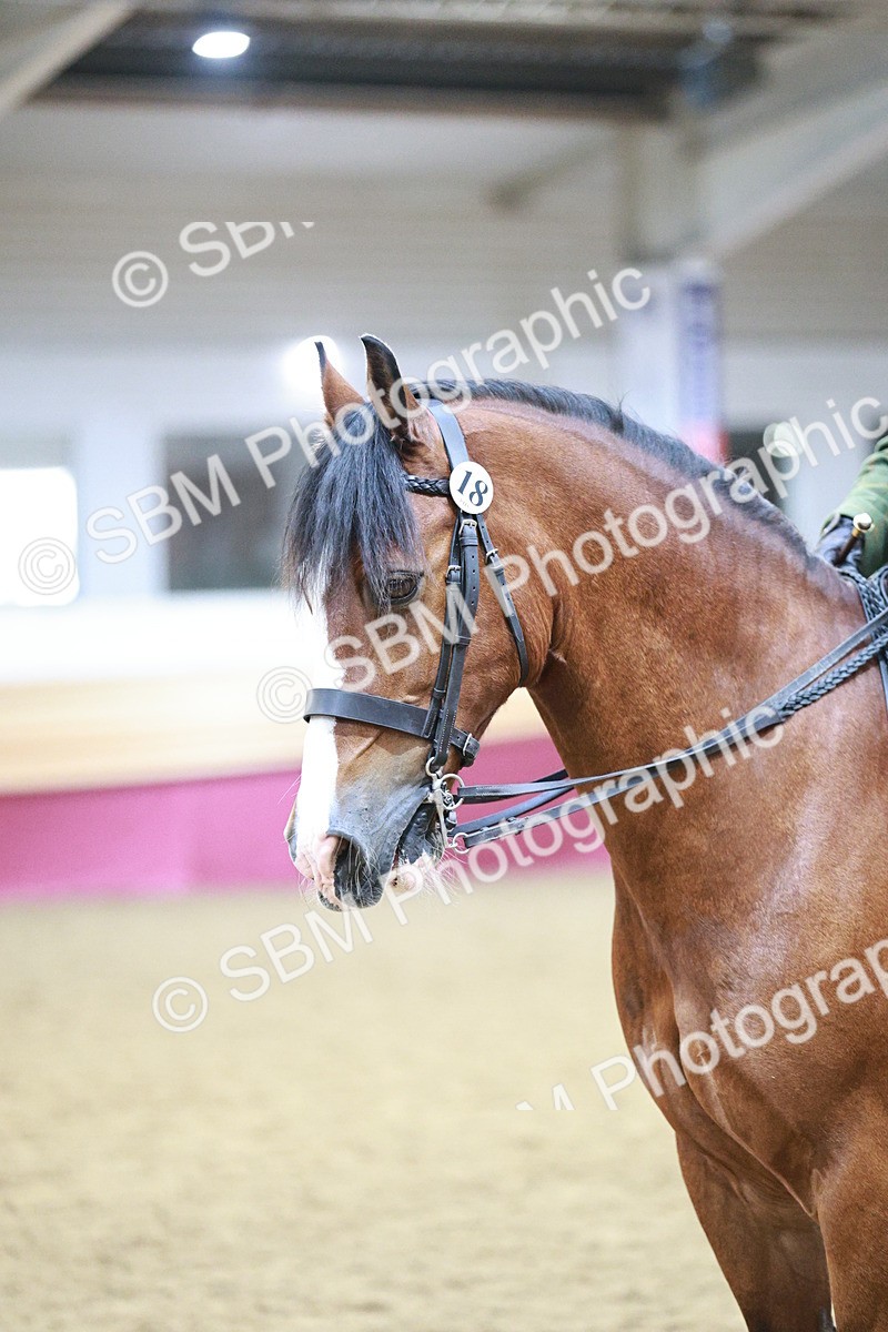 SBM_08938 - Class 12R - Regional Ridden Pre-Vet
