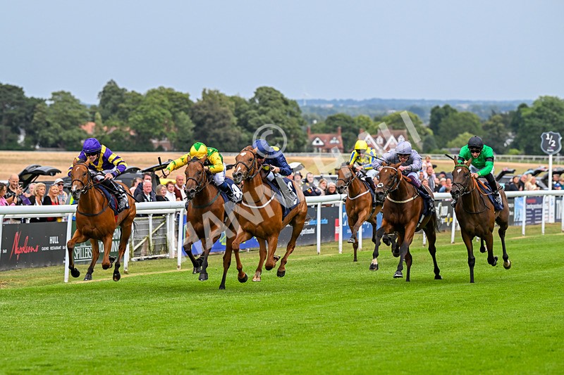 040725-Race 1-Golden Palace-3934 - Race 1